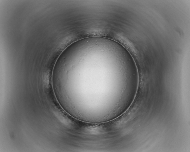 X0000110910065200906181351