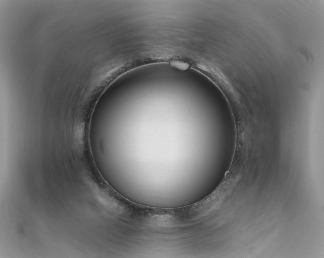 X0000110910066200906181351