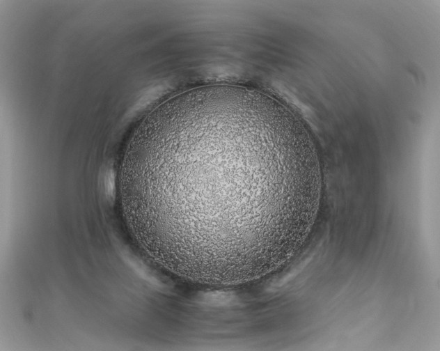 X0000110910067200906181351