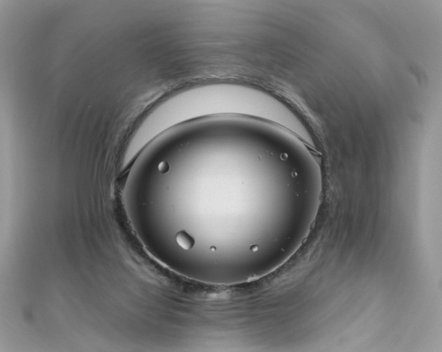 X0000110910068200906181351