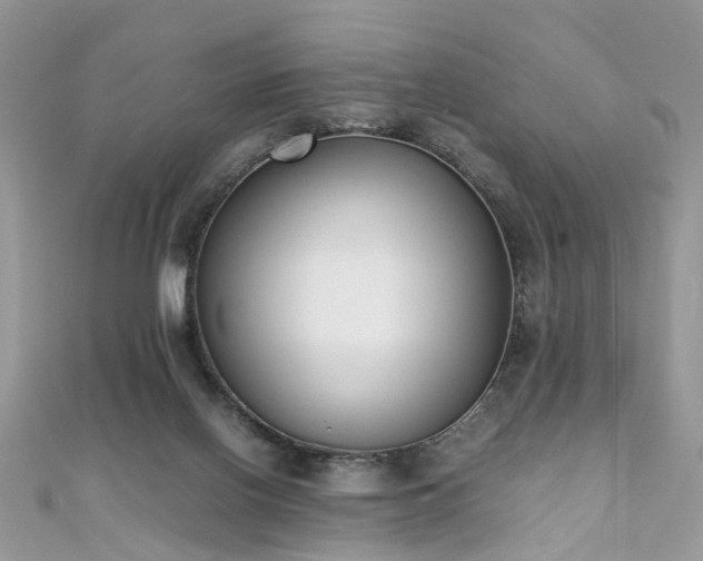 X0000110910070200906181351