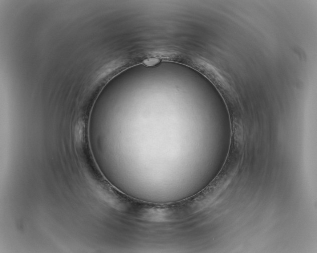 X0000110910071200906181351