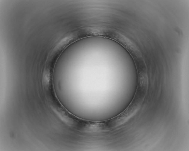 X0000110910072200906181351