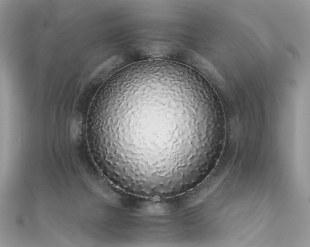 X0000110910073200906181351