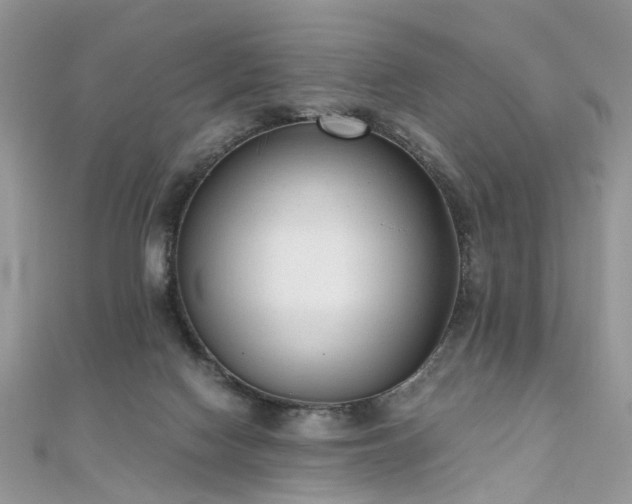 X0000110910074200906181352