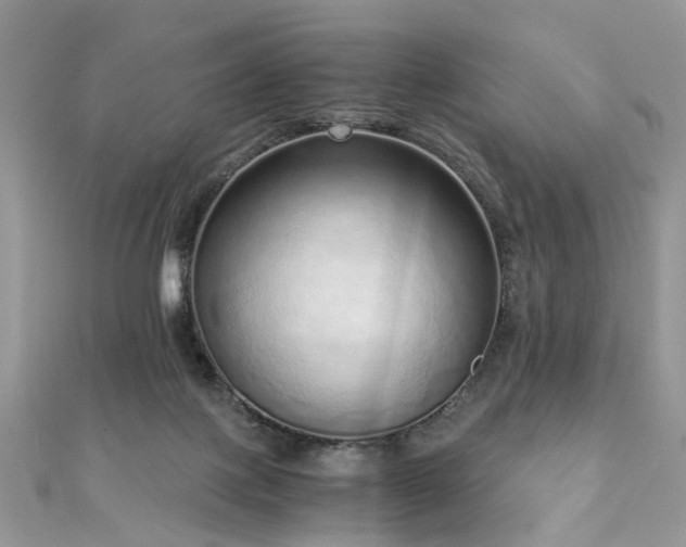 X0000110910075200906181352