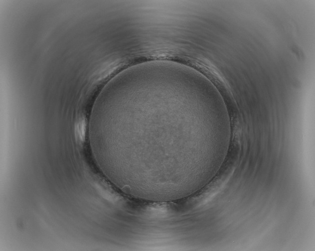 X0000110910076200906181352