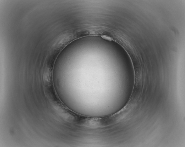 X0000110910078200906181352