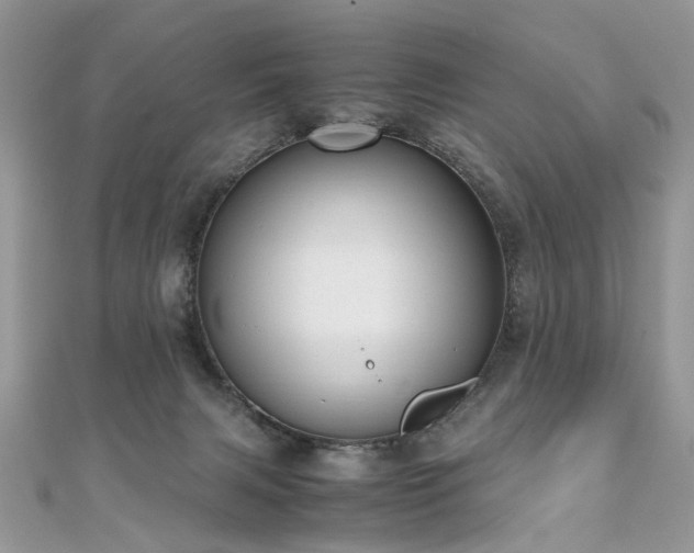 X0000110910079200906181352