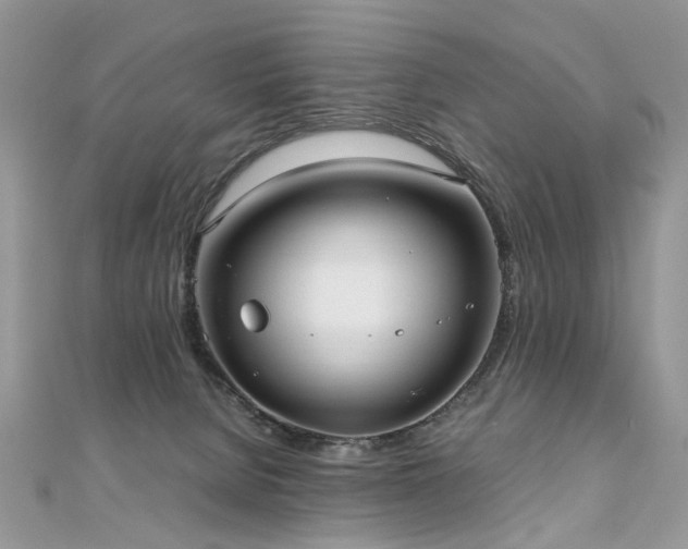 X0000110910080200906181352