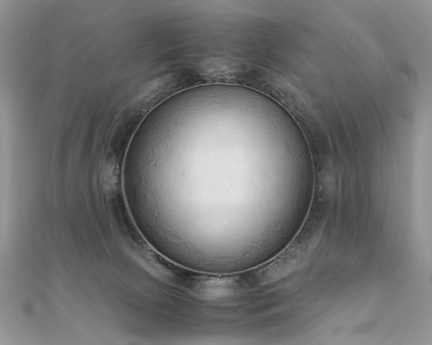 X0000110910081200906181352