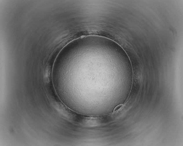 X0000110910082200906181352