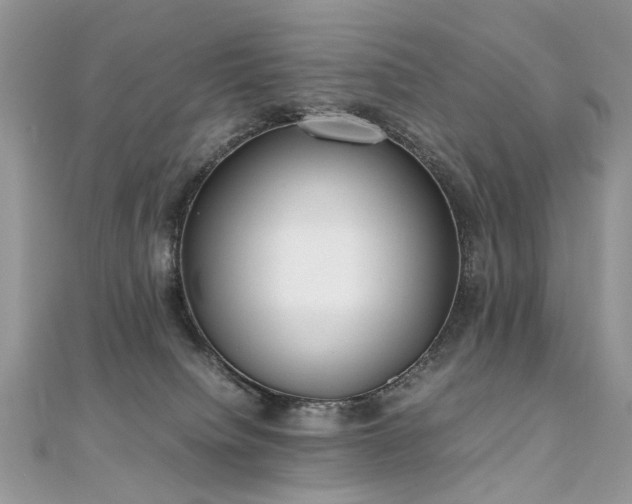 X0000110910084200906181352