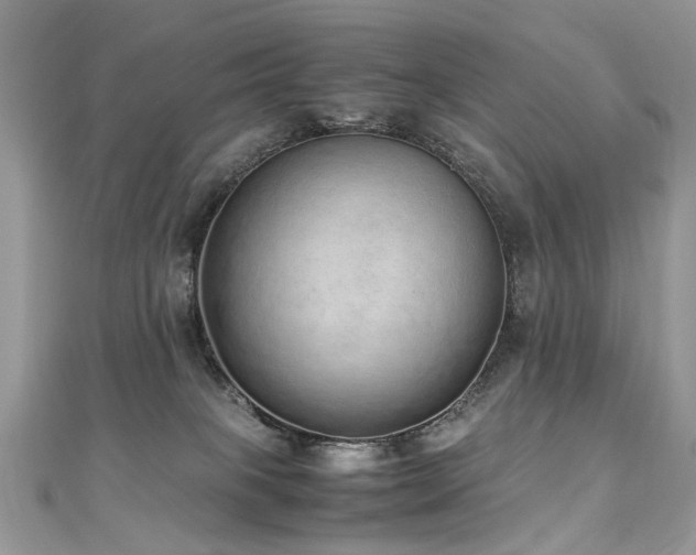 X0000110910085200906181352