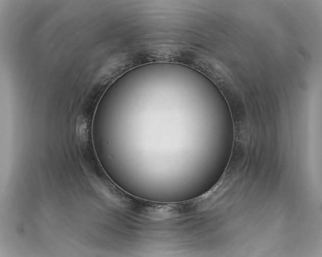 X0000110910086200906181352