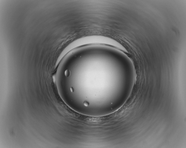 X0000110910088200906181352