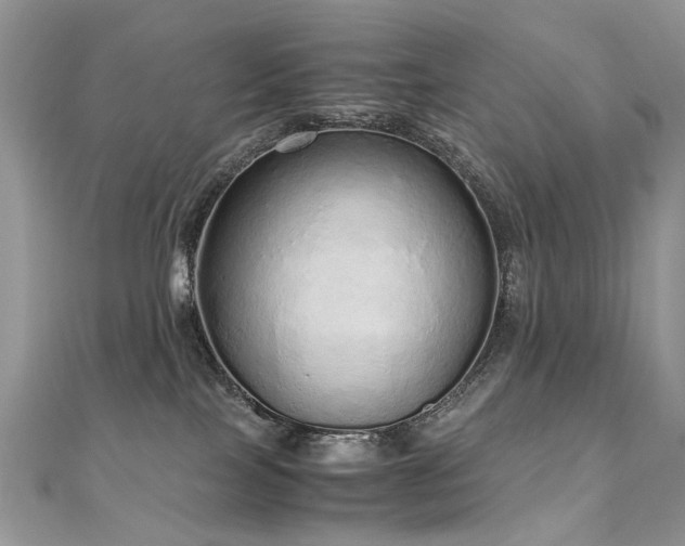 X0000110910089200906181352