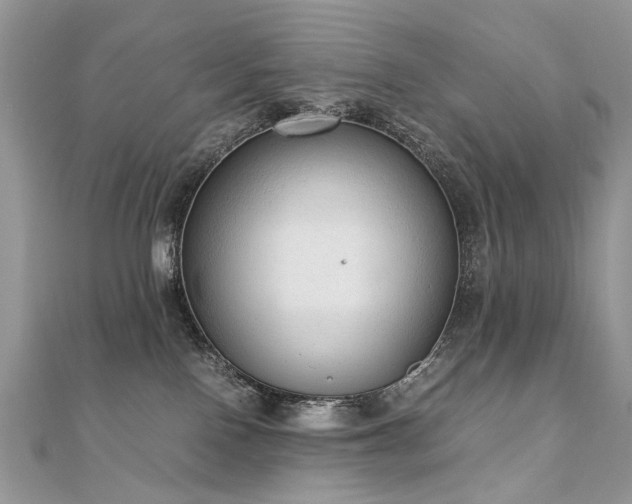 X0000110910090200906181352