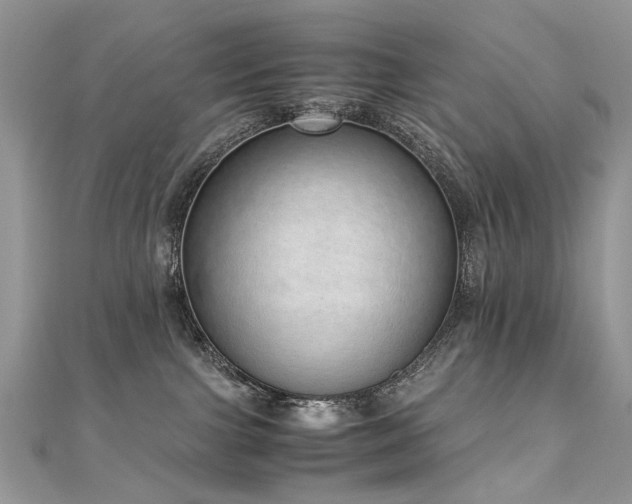 X0000110910091200906181352