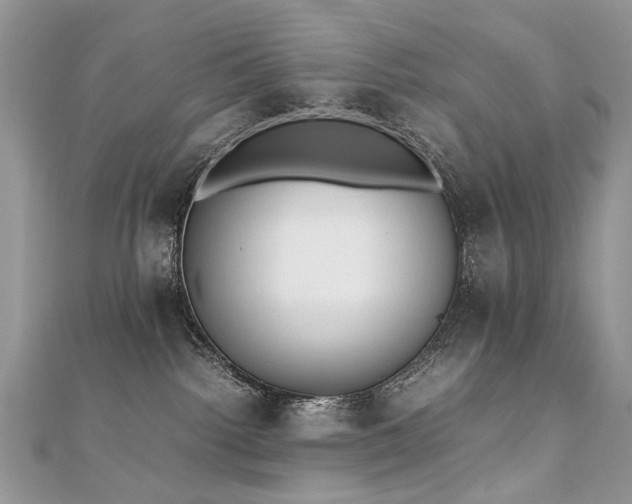 X0000110910092200906181352