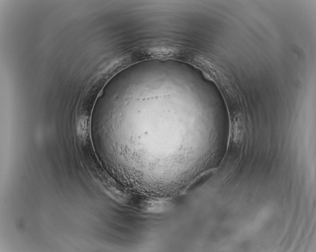 X0000110910093200906181352