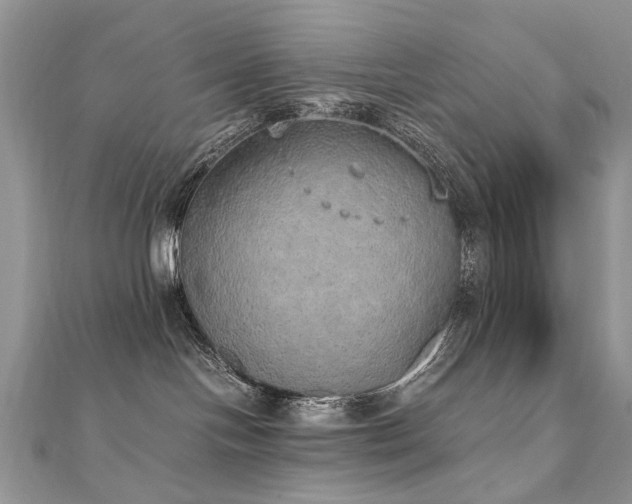 X0000110910094200906181352