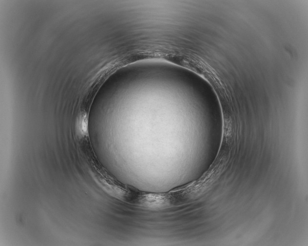 X0000110910095200906181352