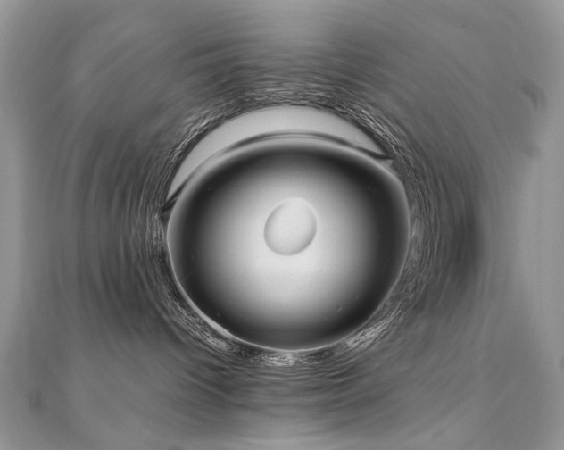 X0000110910096200906181352