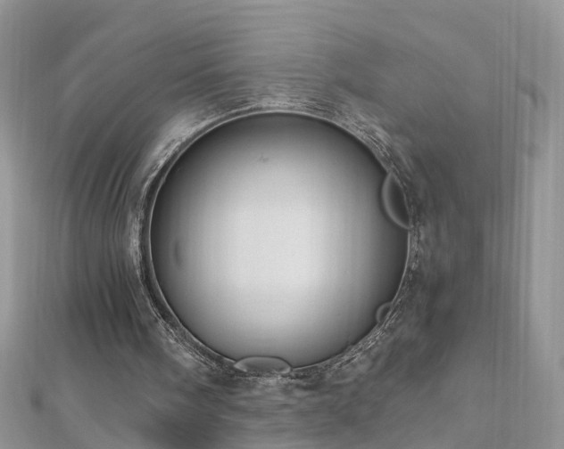 X0000110910098200906181351