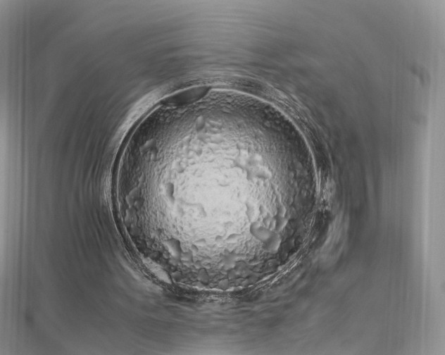 X0000110910099200906181351