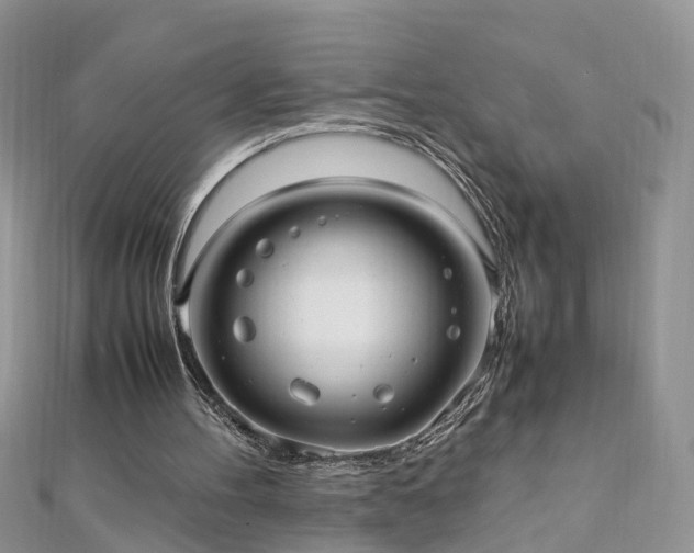 X0000110910100200906181351