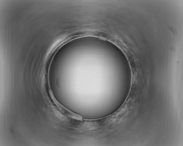 X0000110910101200906181351