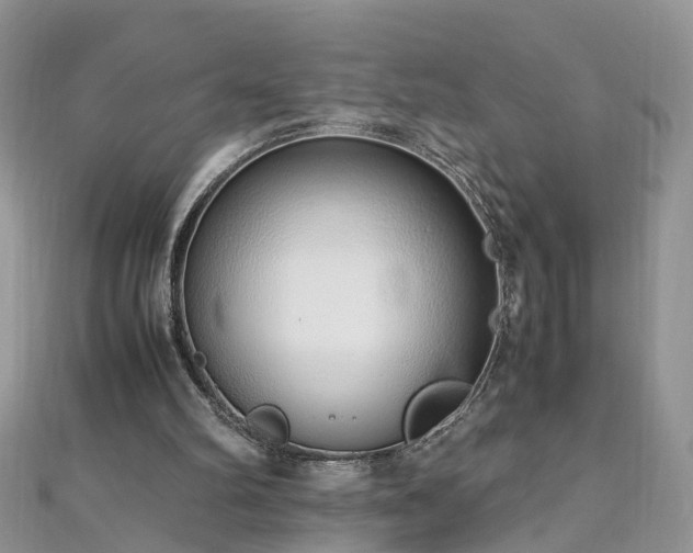 X0000110910102200906181351