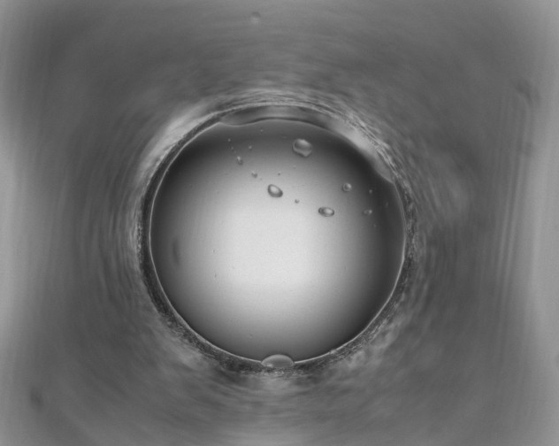 X0000110910103200906181351