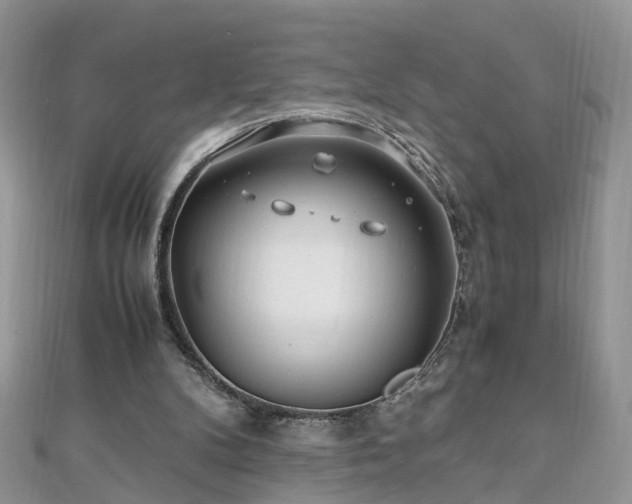 X0000110910104200906181351