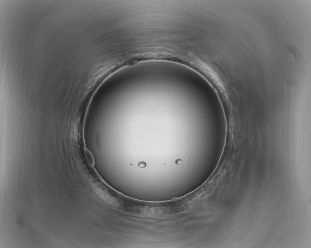 X0000110910105200906181351