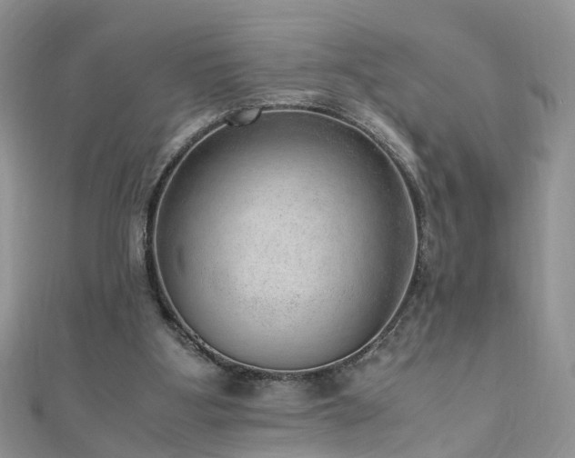 X0000110910107200906181351