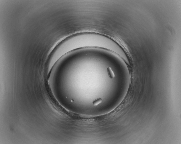 X0000110910108200906181351