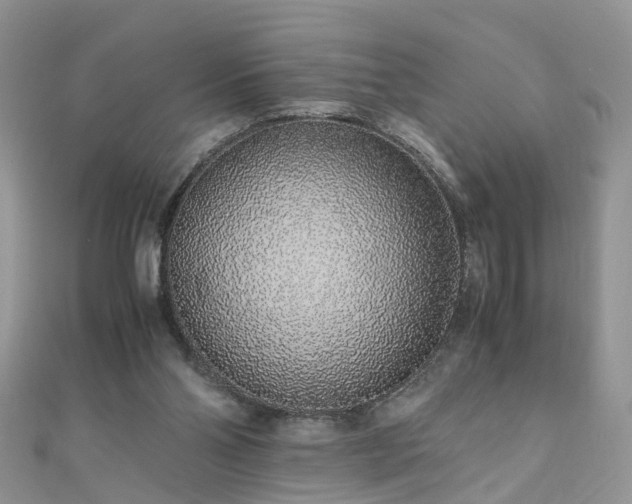 X0000110910110200906181351