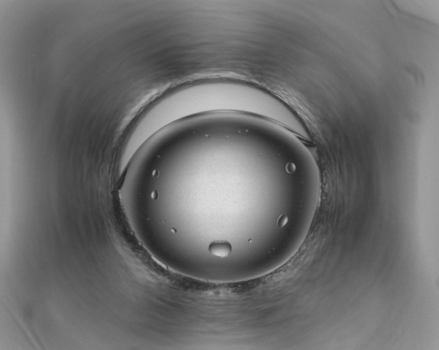 X0000110910112200906181351