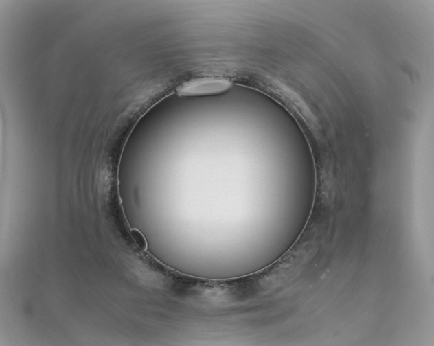 X0000110910113200906181351