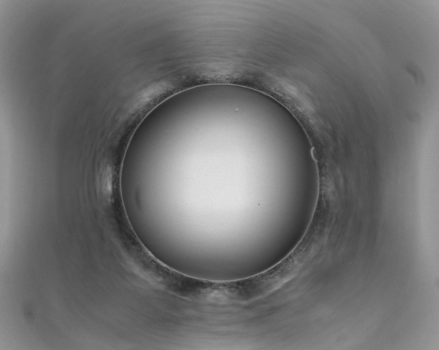 X0000110910115200906181351