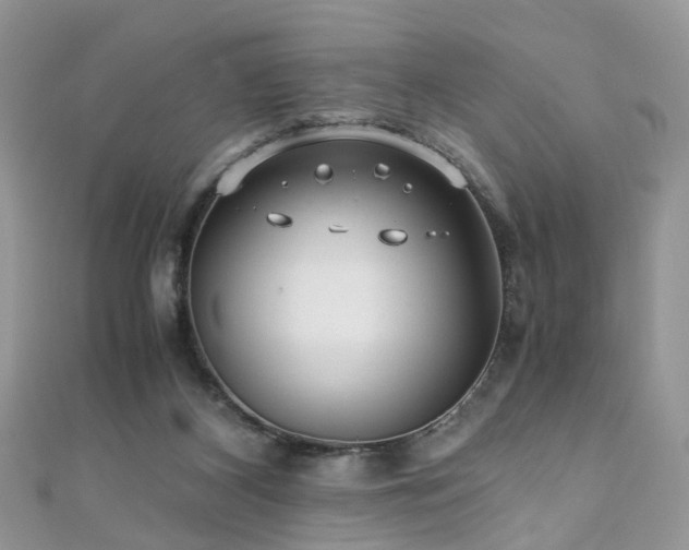 X0000110910116200906181351