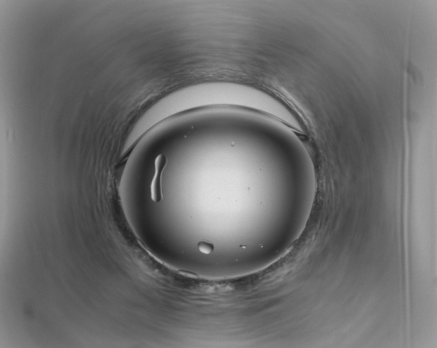 X0000110910117200906181351