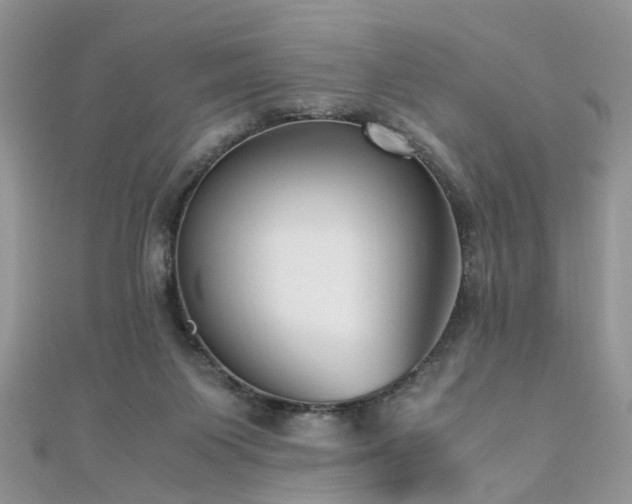 X0000110910119200906181351