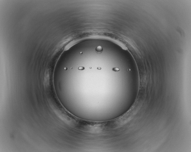 X0000110910120200906181351