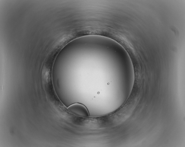 X0000110910123200906181351