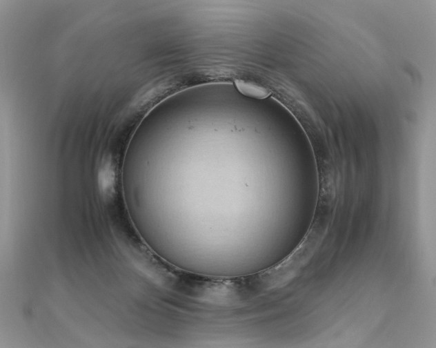 X0000110910124200906181351