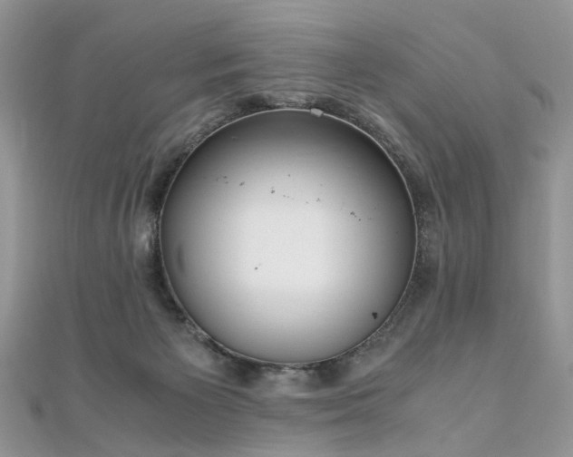 X0000110910125200906181351