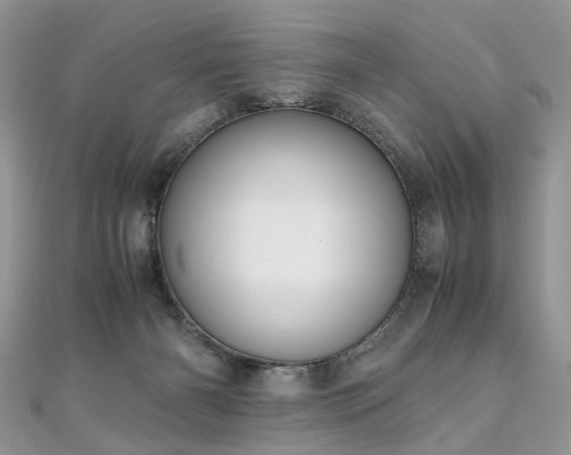 X0000110910126200906181351